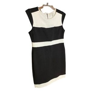 DRESS BARN adorable black and cream stretch dress